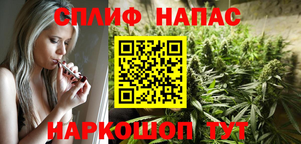 МАРИХУАНА сатива Россия